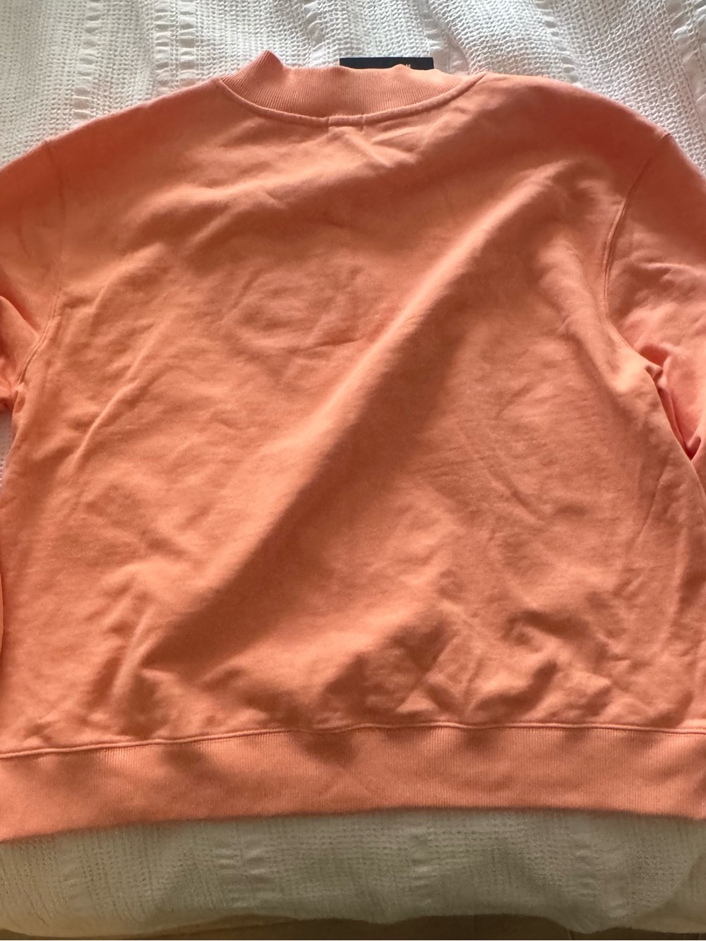 PARKE x Target 
Peach Crewneck Sweatshirt
Sold out 
Size L/XL 
Never worn - Picture 5 of 5